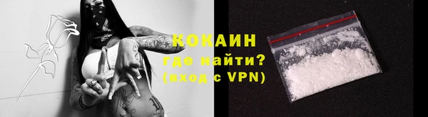 сатива Вяземский