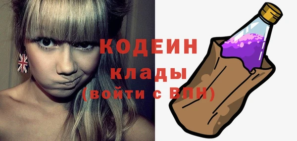 хмурый Пестово