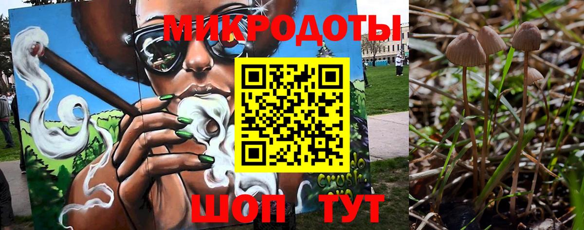 Галлюциногенные грибы Psilocybine cubensis Краснокаменск